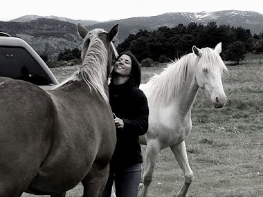 kinésiologie équestre